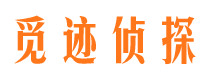 顺城外遇调查取证